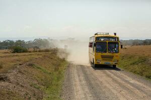 Jeep safari in Maasai Mara National Park Kenya photo