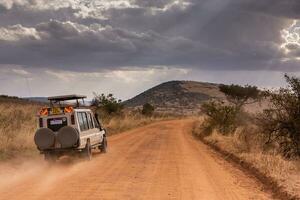 Jeep safari in Maasai Mara National Park Kenya photo