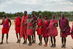 Masai in traditional colorful clothing showing Maasai jumping dance at local tribe village near famous Safari travel destination. Kenya. Editorial photo