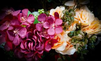 Many pink roses with black edges photo