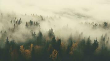 Generative AI, Misty autumn fir forest beautiful landscape in hipster vintage retro style, foggy mountains and trees. photo