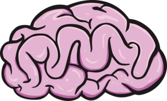 Human brain png