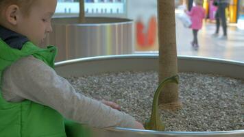 Child playing with toy dinosaur in shopping mall video