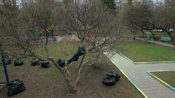 vliegend over- kind Aan de boom in huis werf video