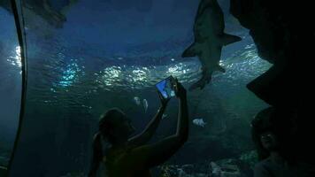 Woman with touch pad shooting shark in oceanarium video