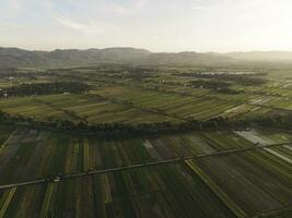 aéreo ver de arroz campo con Dom rayos en Indonesia foto