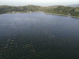 Aerial drone view of Rowo Jombro Lake with a lot of fish pond in Klaten, Indonesia photo