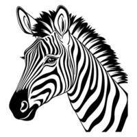 Cute zebra head vector