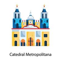 de moda catedral metropolitana vector