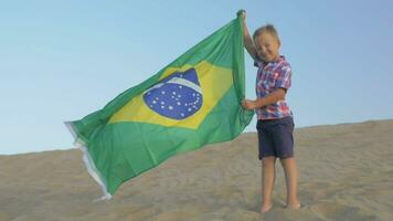 enfant avec drapeau de Brésil sur le plage video