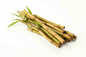 robusto manojo bambú palo. generar ai foto