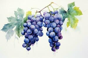 Artistic Blue grape watercolor. Generate Ai photo