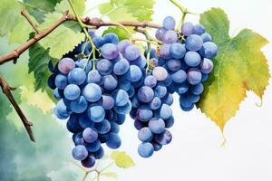 Blue grape watercolor. Generate Ai photo