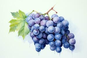 Vibrant Blue grape watercolor. Generate Ai photo