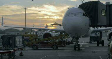 Seen a big passenger plane at the airport on which loaded bags and luggage video