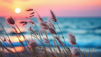 Sunset over grass blowing in the wind photo