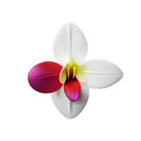 orchidee 3d renderen icoon illustratie png