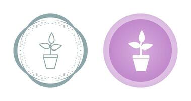 Successful Growth Vector Icon