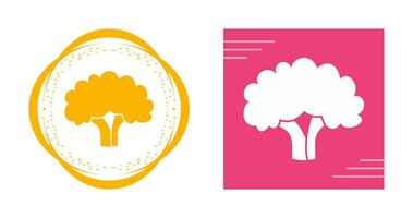 Cauliflower Vector Icon