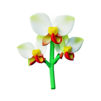 orchid 3d rendering icon illustration png