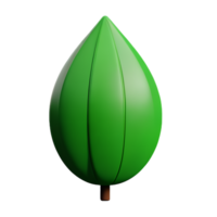 botanical 3d rendering icon illustration png