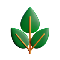 botanical 3d rendering icon illustration png