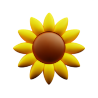 sun flower 3d rendering icon illustration png