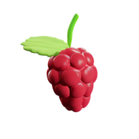 raspberry 3d rendering icon illustration png