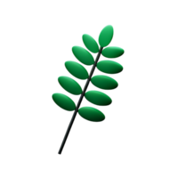 eucalyptus leaves 3d rendering icon illustration png