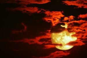 Full corn planting moon rise back blur dark red cloud on the night sky photo