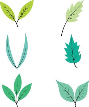 Botanical Element in Simple Shape. Vector Illustration