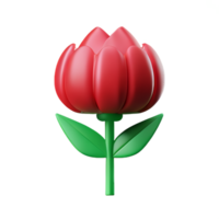 peony 3d rendering icon illustration png