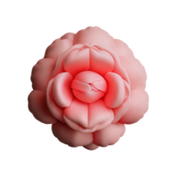 peony 3d rendering icon illustration png