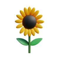 Sol flor 3d Renderização ícone ilustração png