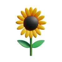 sun flower 3d rendering icon illustration png