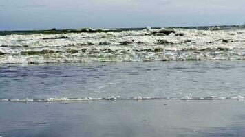 Midday sea waves and cool breeze video