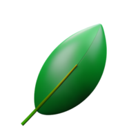 Eukalyptus Blätter 3d Rendern Symbol Illustration png