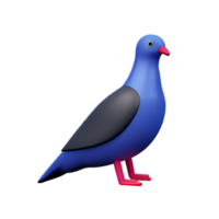 pigeon 3d rendering icon illustration png