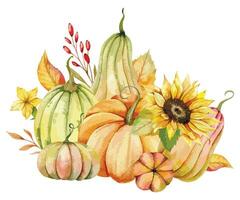 Autumn Thanksgiving Watercolor Pumpkins with leaves and harvest on white background. Fall floral arrangement with Pumpkins, Berries and Leaves vector