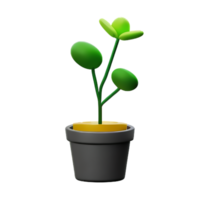 flower pot 3d rendering icon illustration png