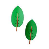 eucalyptus leaves 3d rendering icon illustration png