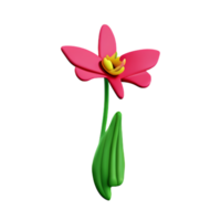 orchid 3d rendering icon illustration png