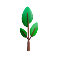 eucalyptus bladeren 3d renderen icoon illustratie png