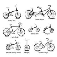 diferente tipos de bicicleta vector en garabatear estilo aislado en blanco antecedentes. mano dibujado vehículos ilustración. vocabulario de tipos de bicicletas para niño y adulto