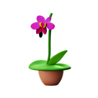 Orchidee 3d Rendern Symbol Illustration png