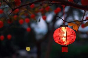 Chinese red lanterns on the background of a blossoming tree in the park photo