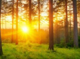 nature background, forest at sunset. AI Image Generation photo