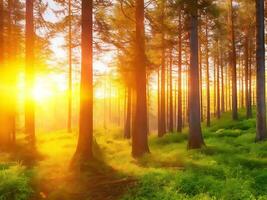 nature background, forest at sunset. AI Image Generation photo