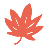 Japanese autumn leaf png