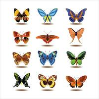 Large collection of colorful butterflies. Collection of colorful butterflies. Vector illustration.